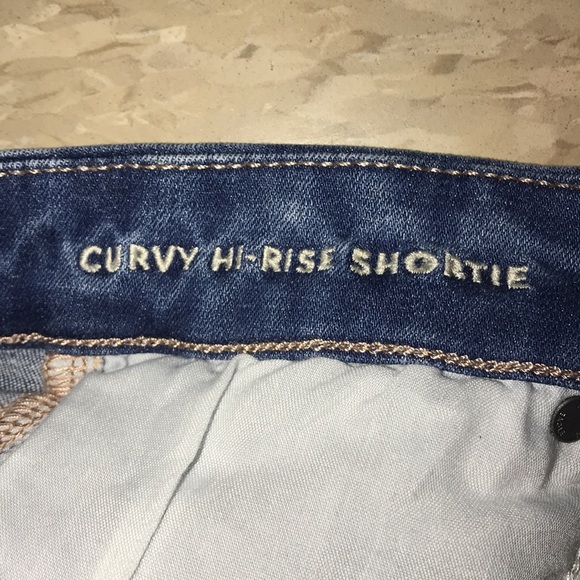 American Eagle Outfitters Ne(x)t Level Curvy Hi-Rise Denim Shortie in Blue sz 6 - Picture 4 of 14